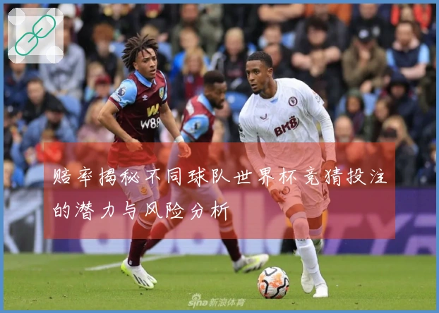赔率揭秘不同球队世界杯竞猜投注的潜力与风险分析