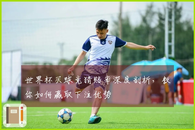 世界杯买球竞猜赔率深度剖析，教你如何赢取下注优势