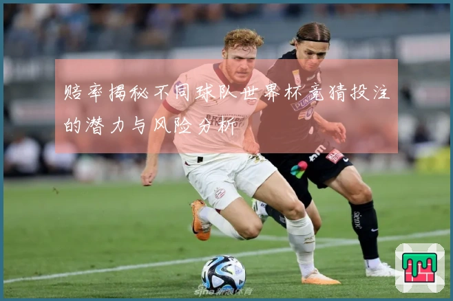 赔率揭秘不同球队世界杯竞猜投注的潜力与风险分析