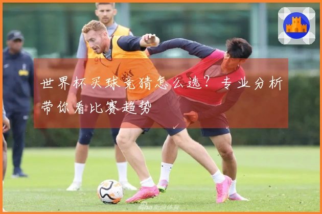 世界杯买球竞猜怎么选？专业分析带你看比赛趋势
