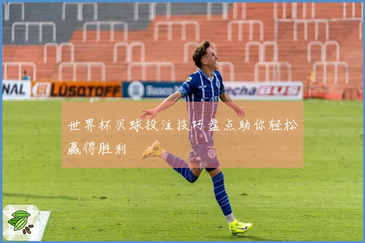 世界杯买球投注技巧盘点助你轻松赢得胜利