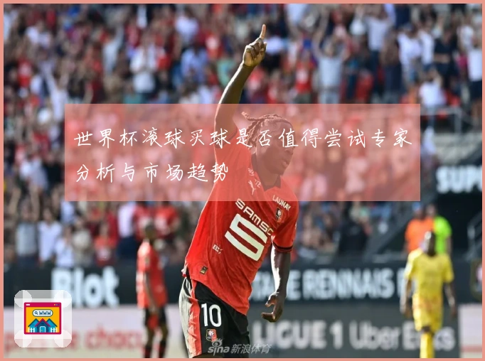 世界杯滚球买球是否值得尝试专家分析与市场趋势